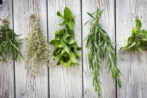 Herbs for Weight Loss