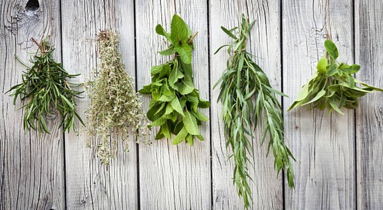Weight loss with herbs