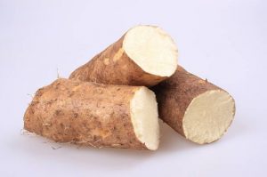 Wild Yam