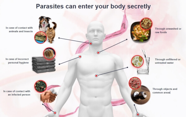 worms and parasites