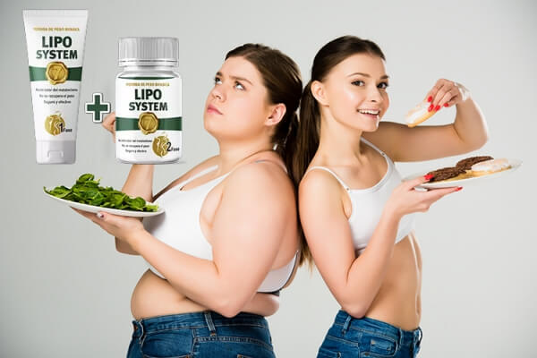 Lipo System – What Is It